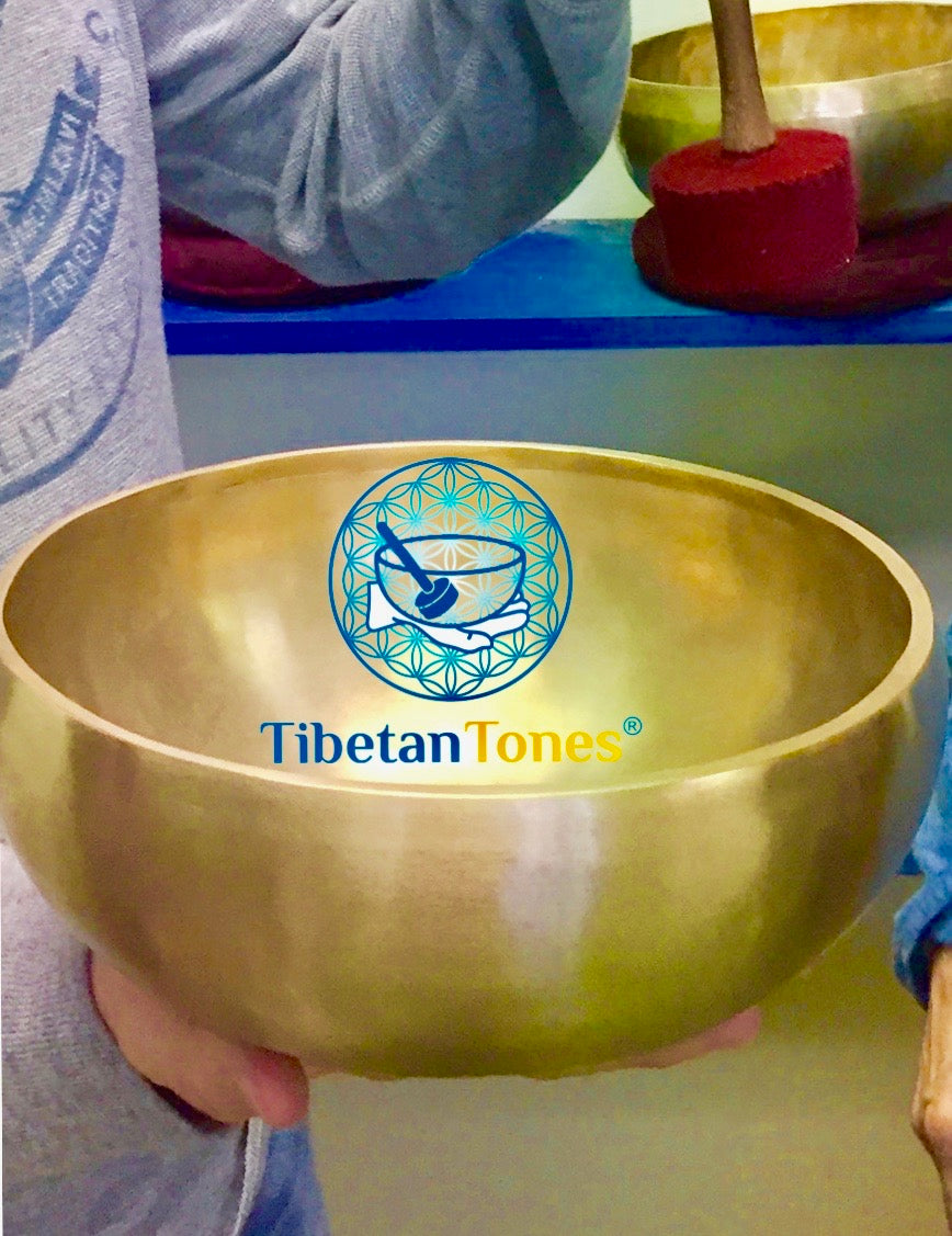 Opioid Addiction Restorative Therapy with Tibetan Tones®️Sonic Wellness Programs