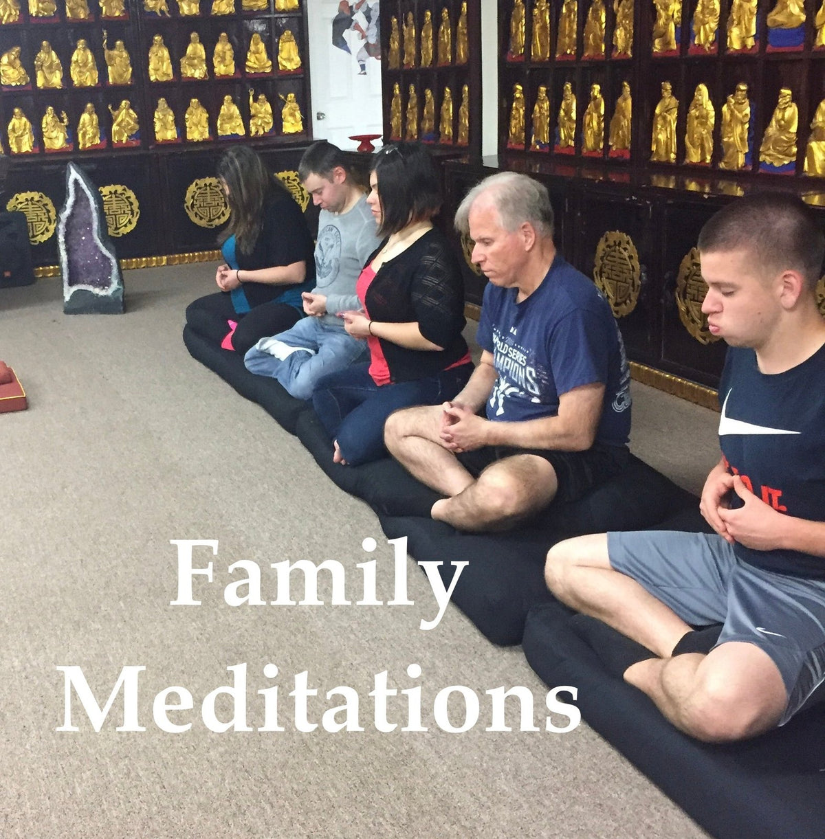 CORE MODULE SERIES Sound Therapy bowl sets w/ training On line Tibetan Tones Intro,Advanced,PRO Copy