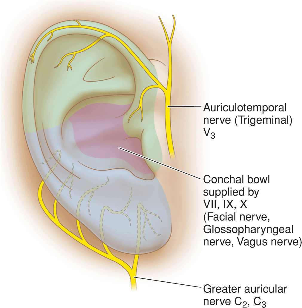 Sonic Auricular Therapy Training $89-$495
