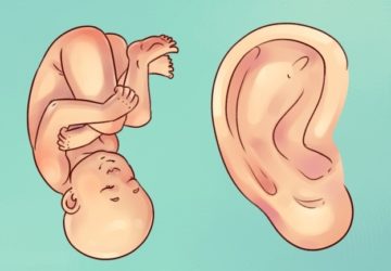 Sonic Auricular Therapy Training $89-$495