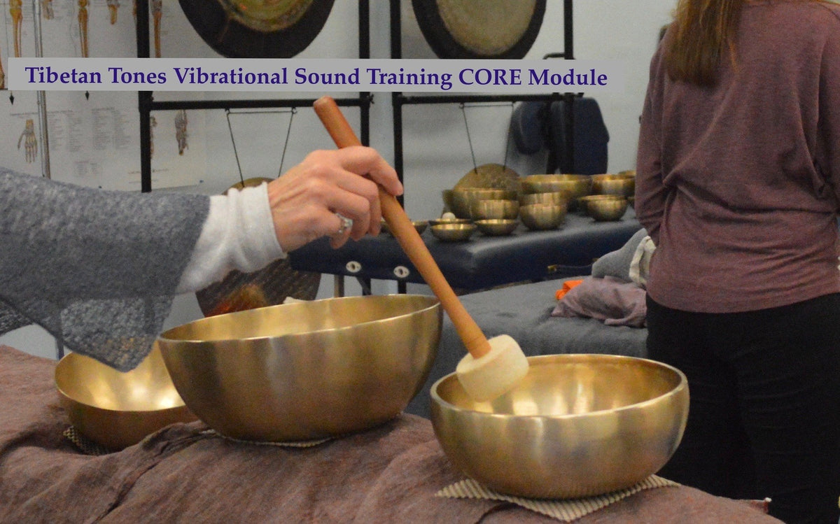 CORE MODULE SERIES Sound Therapy bowl sets w/ training On line Tibetan Tones Intro,Advanced,PRO Copy