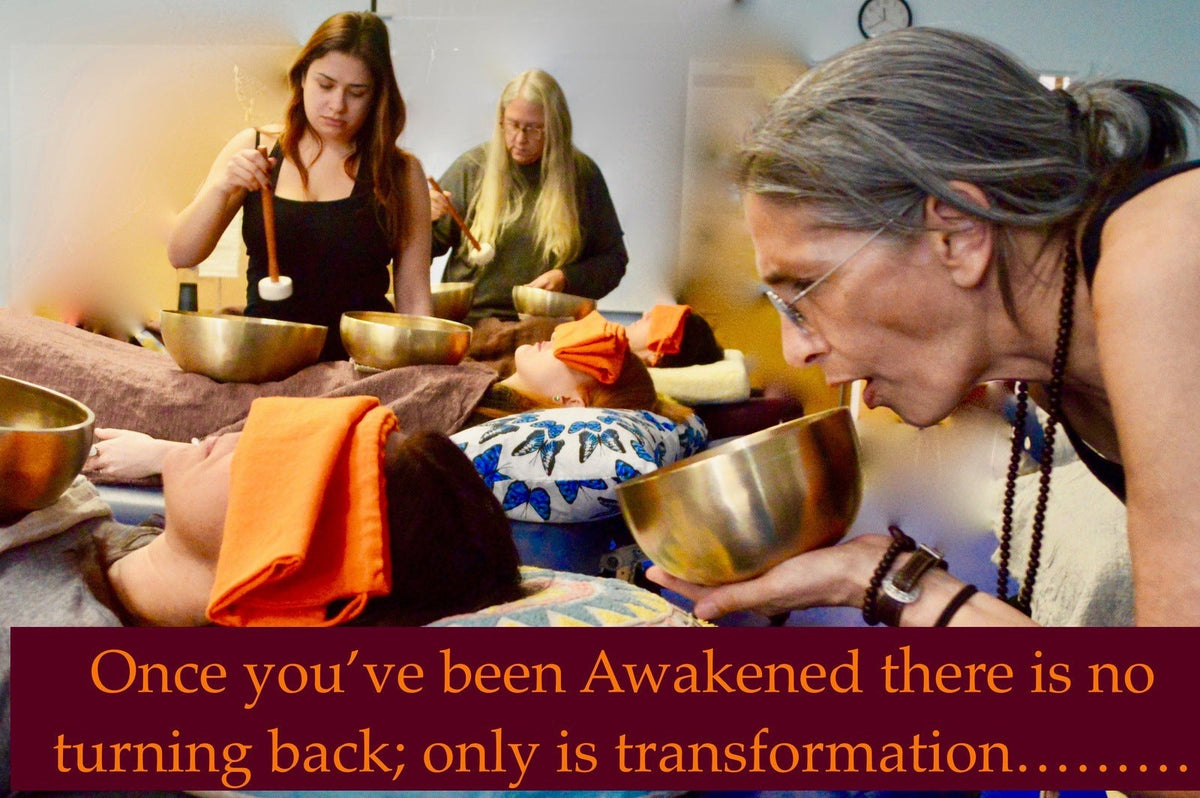 CORE MODULE SERIES Sound Therapy bowl sets w/ training On line Tibetan Tones Intro,Advanced,PRO Copy