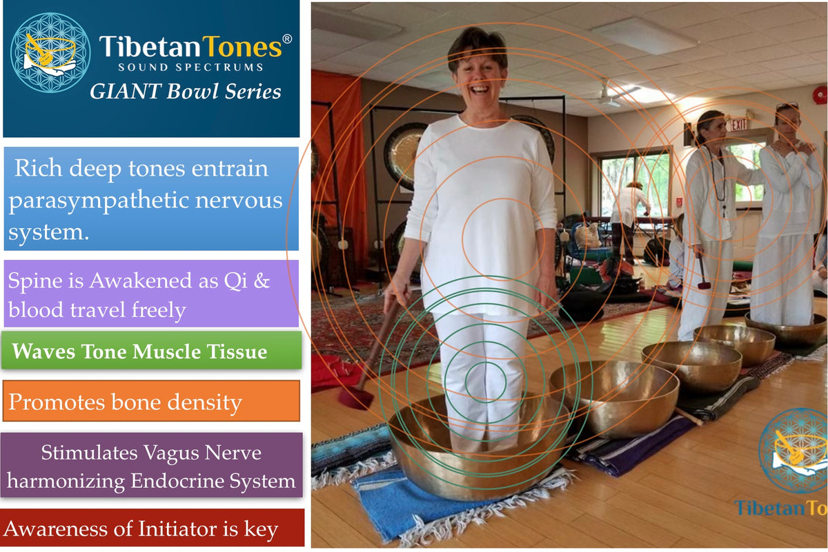 Giant Singing Bowl by Tibetan Tones