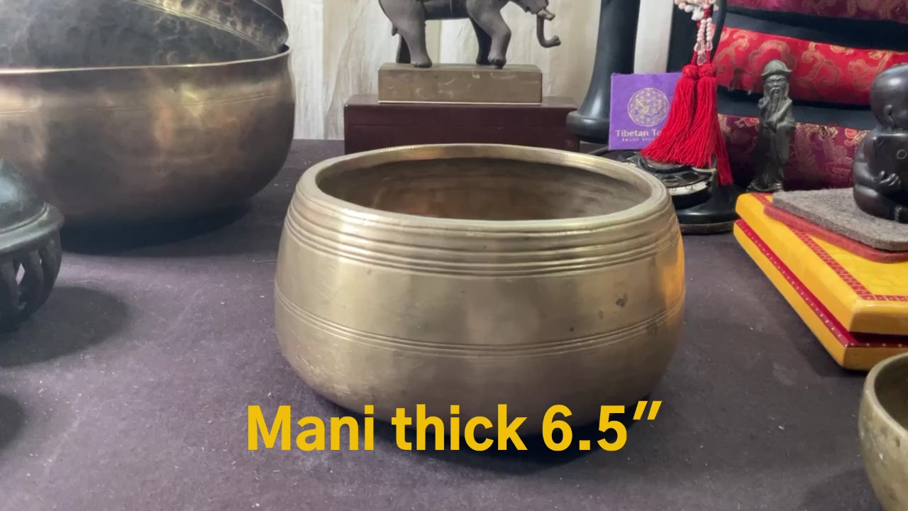 Mani thick 6.5” D 5