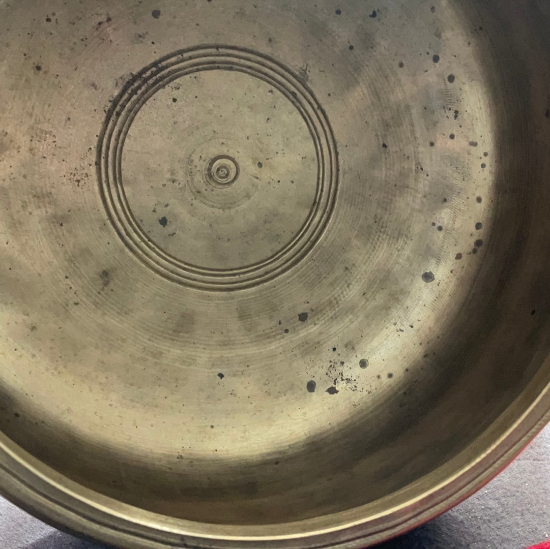 Mani thick 6.5” D 5