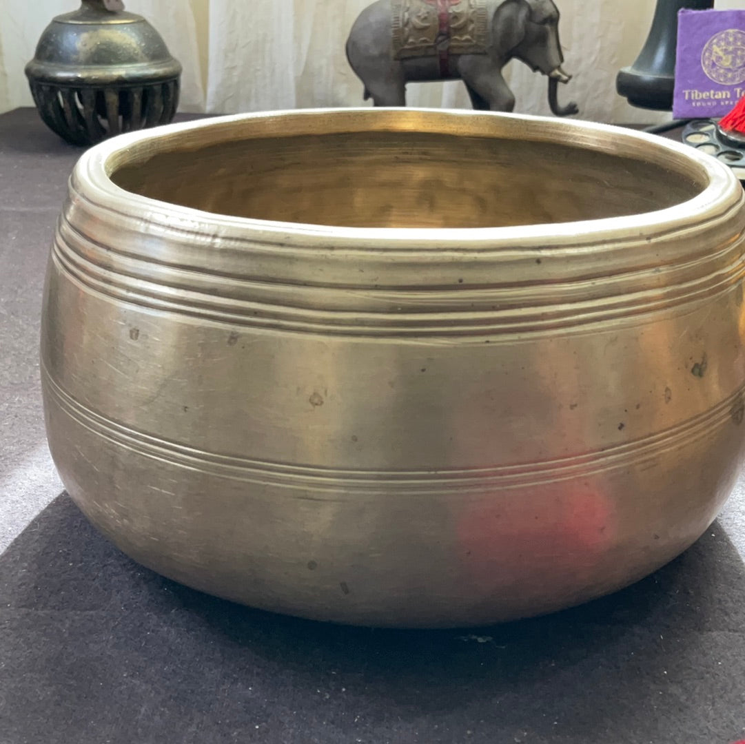 Mani thick 6.5” D 5