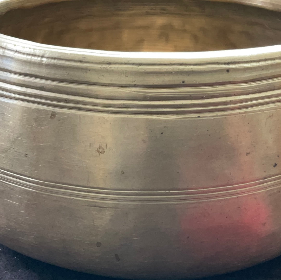 Mani thick 6.5” D 5